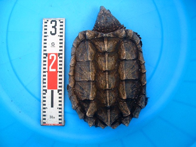 c0105569_0133422.jpg