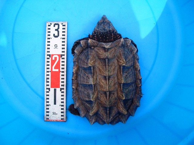 c0105569_0135056.jpg