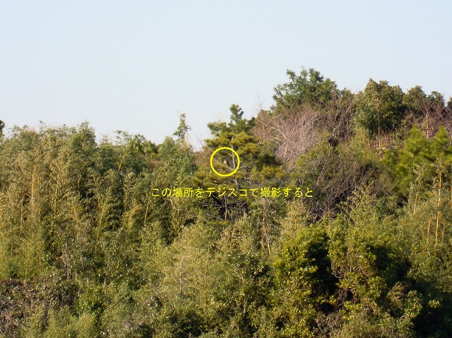 e0046474_1121710.jpg