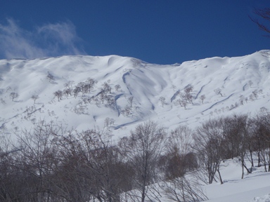 c0018489_074352.jpg