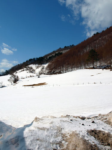 f0236291_10182667.jpg