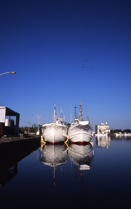 c0214494_094151.jpg