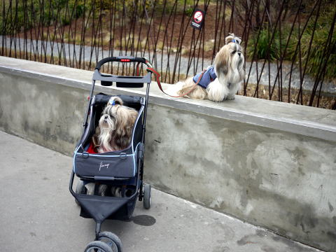 c0090198_4522939.jpg