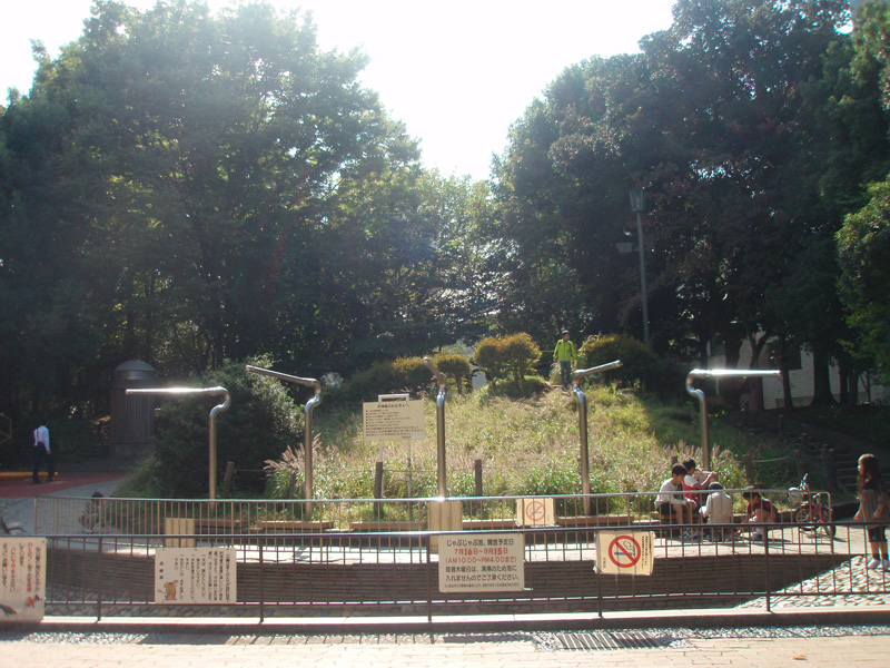 f0002998_1584549.jpg