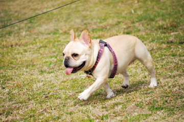 f0136098_22164162.jpg