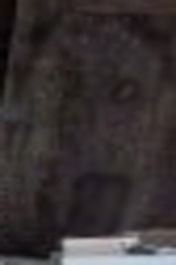 e0103408_1931178.jpg