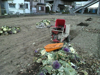 f0127408_21512167.jpg