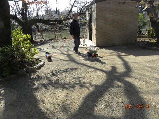 b0203018_174036.jpg