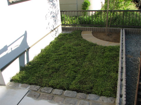 e0128024_14432882.jpg