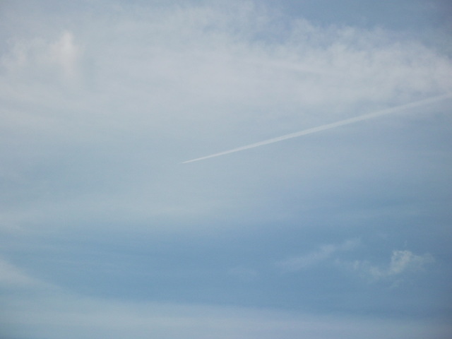 d0170933_1712585.jpg