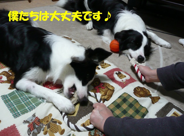 c0147241_13194951.jpg