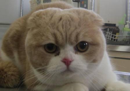 3月 12日の写真_c0174644_1113986.jpg