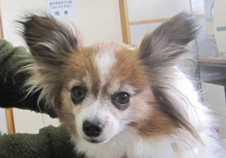 3月 12日の写真_c0174644_12464424.jpg