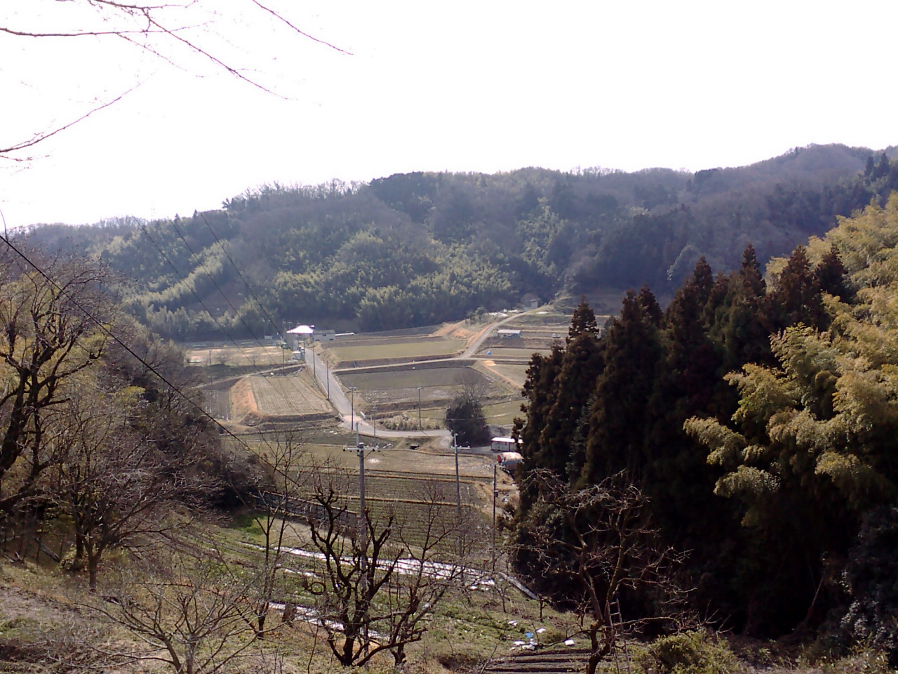 f0055257_20224829.jpg