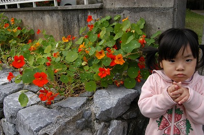 c0180460_22532318.jpg