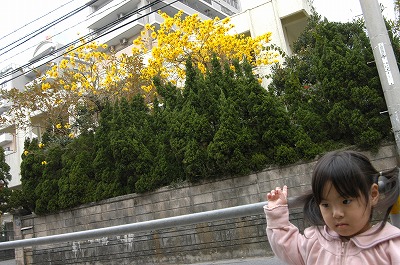 c0180460_22542688.jpg