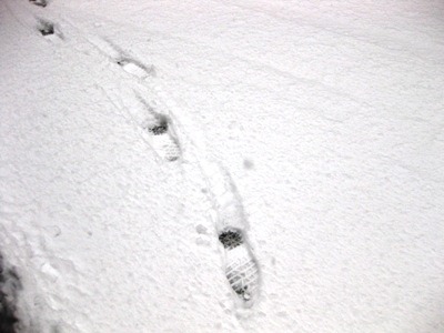 c0190960_6404061.jpg