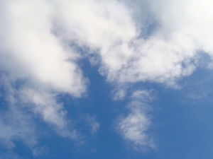 e0220766_11242443.jpg