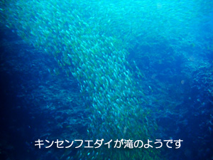 私達が出来る事は?_f0144385_1792528.jpg
