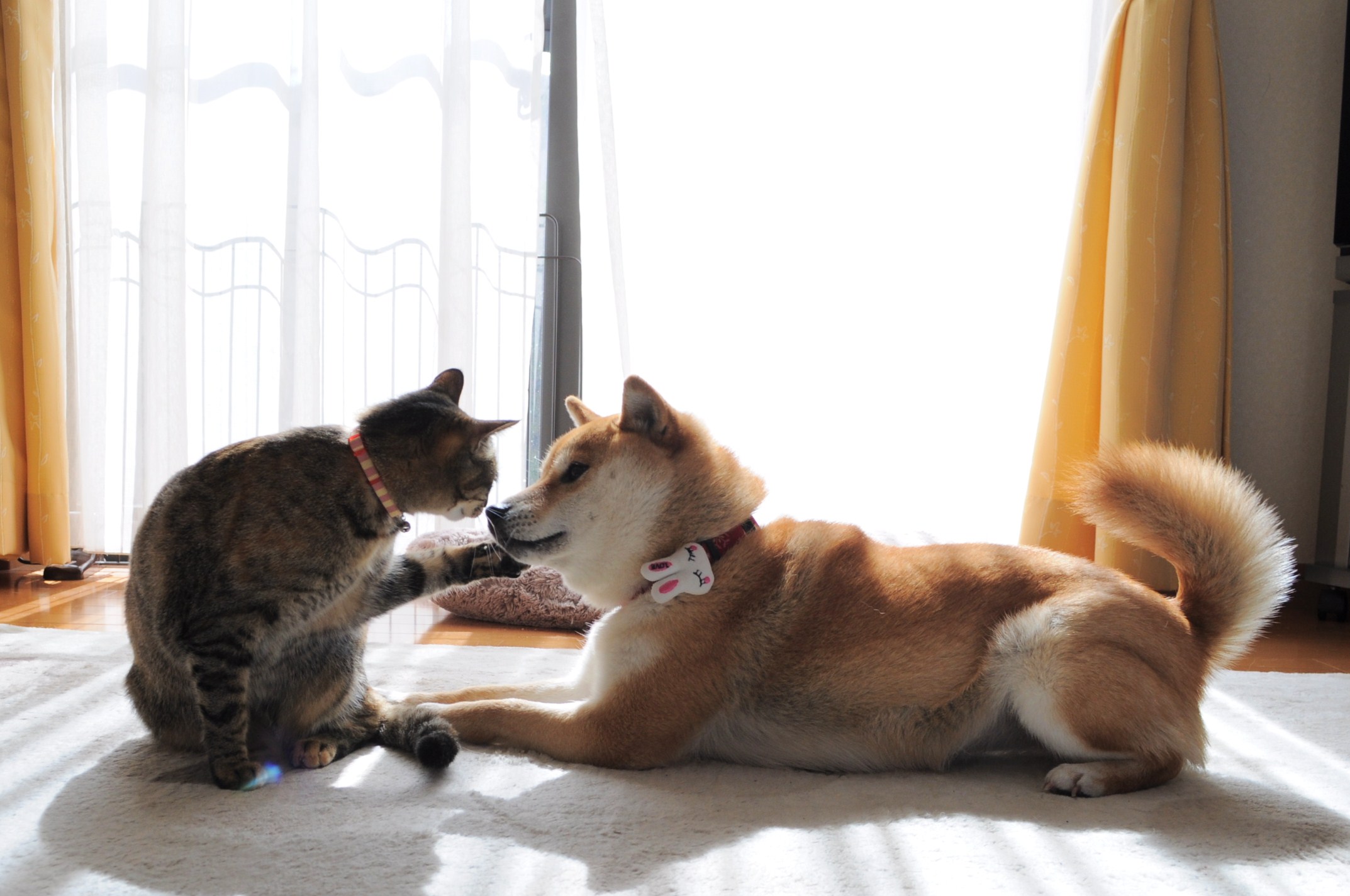 祈り_a0126590_2210541.jpg
