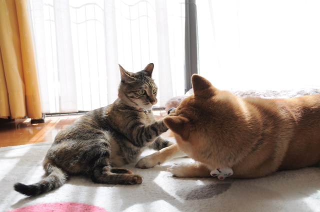 祈り_a0126590_2211815.jpg