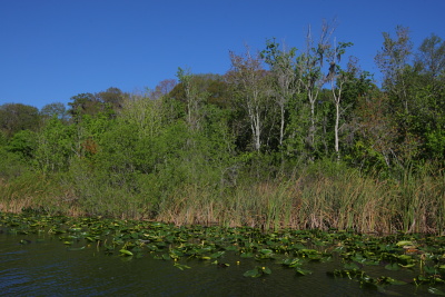 a0097491_9121445.jpg