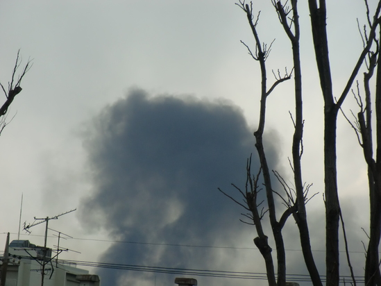 大地震でやっと帰れました!_e0119092_18453643.jpg