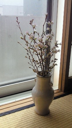 c0205393_11421.jpg