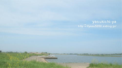 e0048497_2303975.jpg