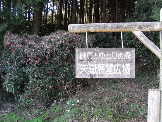 f0187402_21105135.jpg