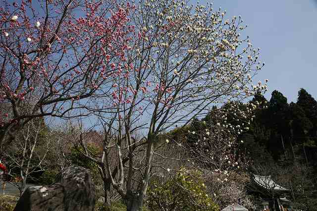 a0188405_20593481.jpg