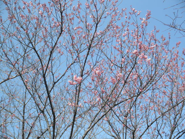 c0152507_10323512.jpg