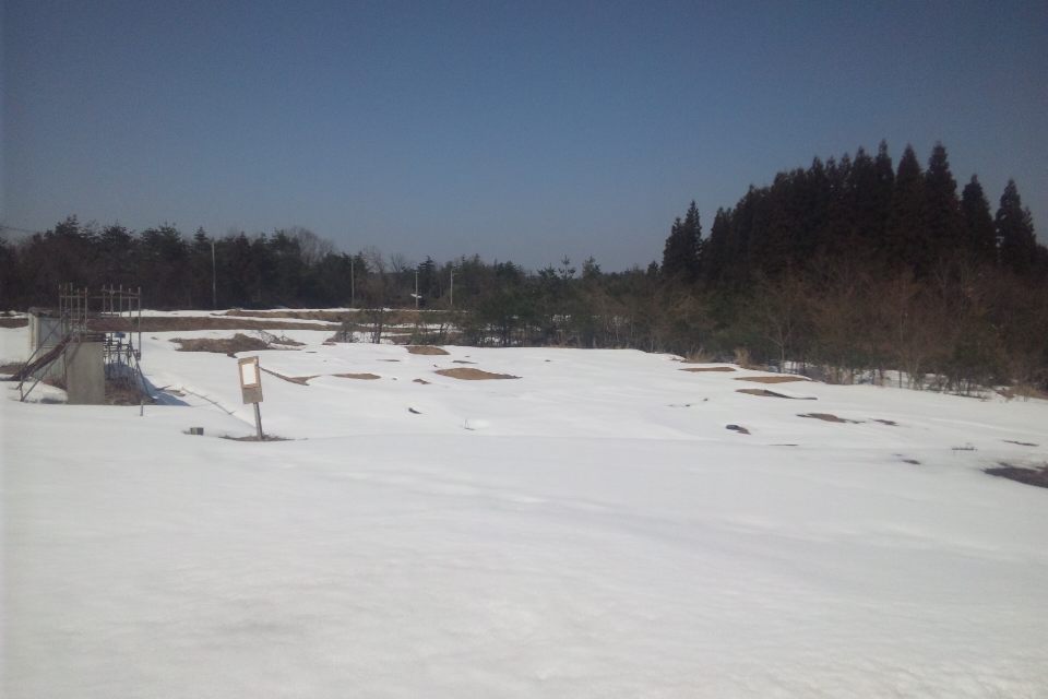 d0070007_1655388.jpg