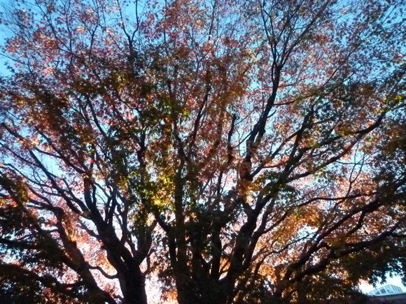 f0024708_22362836.jpg