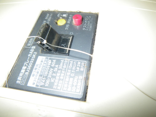 e0168109_2001949.jpg