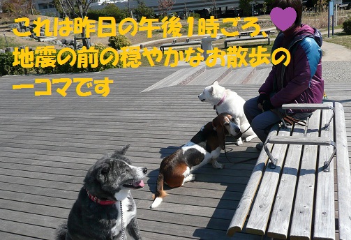 f0121712_0175189.jpg