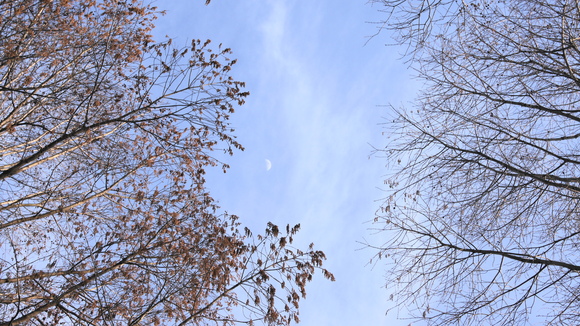 f0233414_0163135.jpg