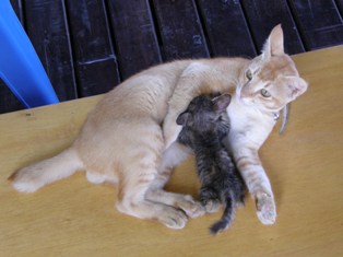 ママと呼ばないでアルバム_c0211615_1718567.jpg