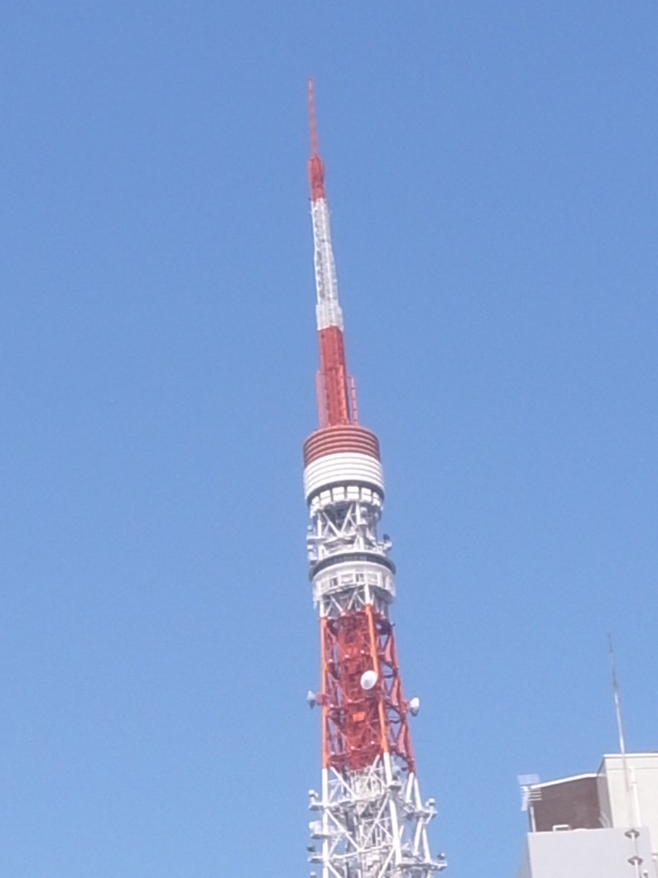 大地震で東京タワーの先端曲がる_e0192715_13152197.jpg