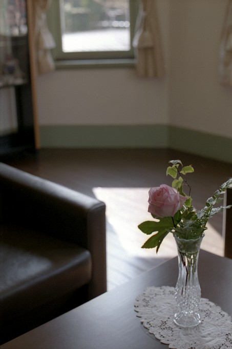 2011-3-13　願うことひとつ_c0136330_13131118.jpg