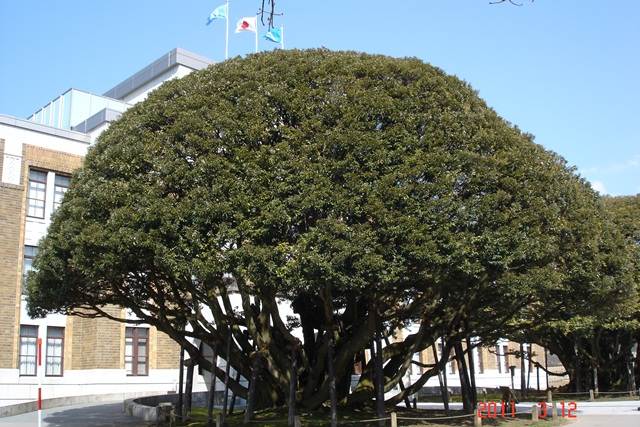 しいのき迎賓館（旧石川県庁）_e0209441_10544863.jpg