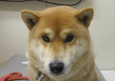 3 月 13 日の写真_c0174644_11522149.jpg