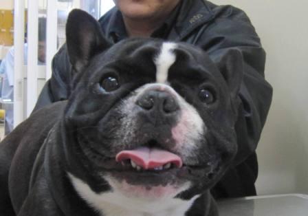 3 月 13 日の写真_c0174644_12394152.jpg