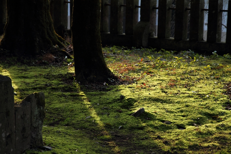 慈眼山永興寺（じげんざんようこうじ）と日田神社_b0123359_22365855.jpg