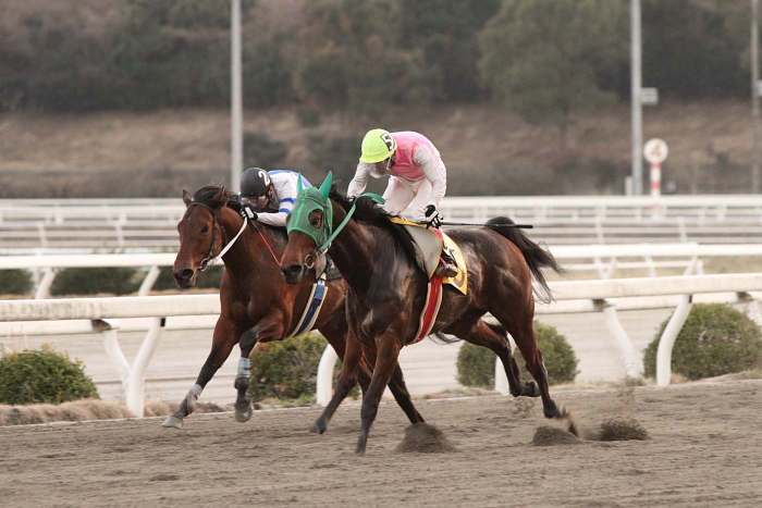 2011年2月26日（土） 高知競馬 5R 駿君初めての高知特別 C3-4_a0077663_13194331.jpg