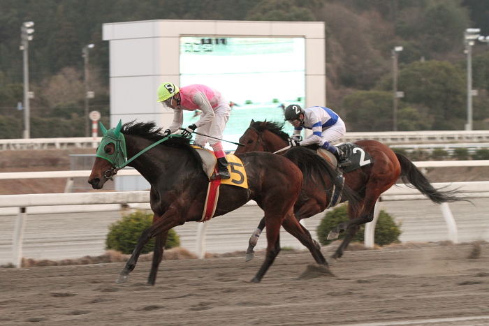 2011年2月26日（土） 高知競馬 5R 駿君初めての高知特別 C3-4_a0077663_13195032.jpg