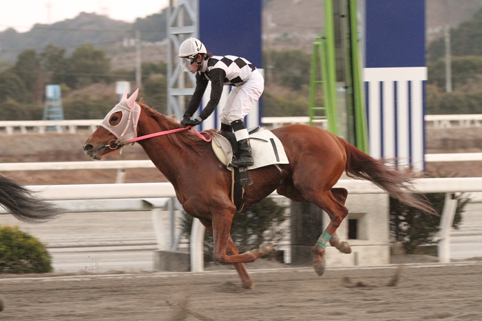 2011年2月26日（土） 高知競馬 5R 駿君初めての高知特別 C3-4_a0077663_13195855.jpg