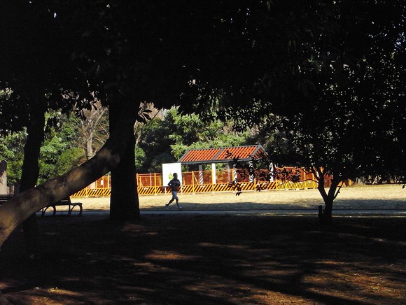d0134896_18233179.jpg