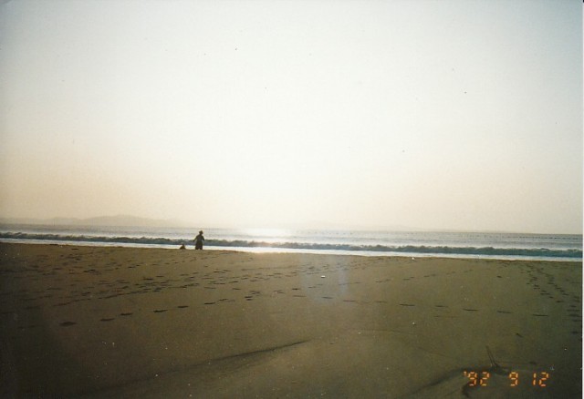 b0138798_0185716.jpg