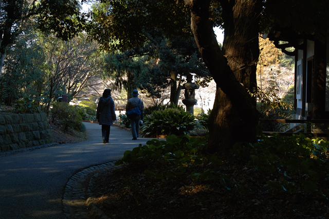 旧御涼亭から見た日本庭園・・・新宿御苑_d0069398_7453973.jpg